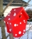 dohle_004