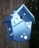dohle_008
